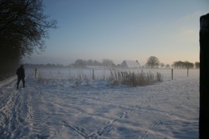 Wandeling over Drenthepad in de sneeuw - januari 2010